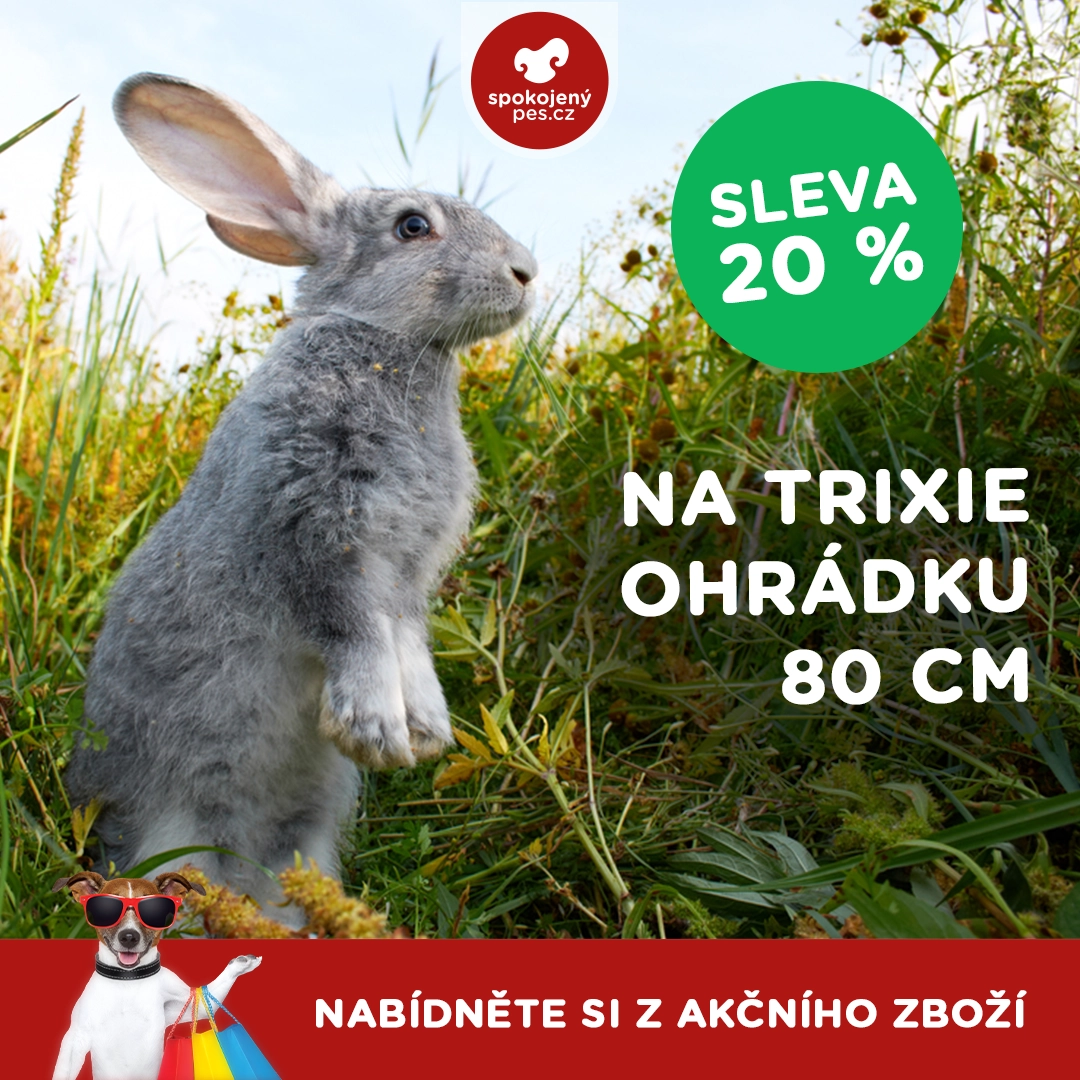 ostatni trixie.webp